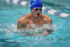 Swimming & Diving vs Babson  Swimming & Diving vs Babson College. - Photo by Keith Nordstrom : Wheaton, Swimming